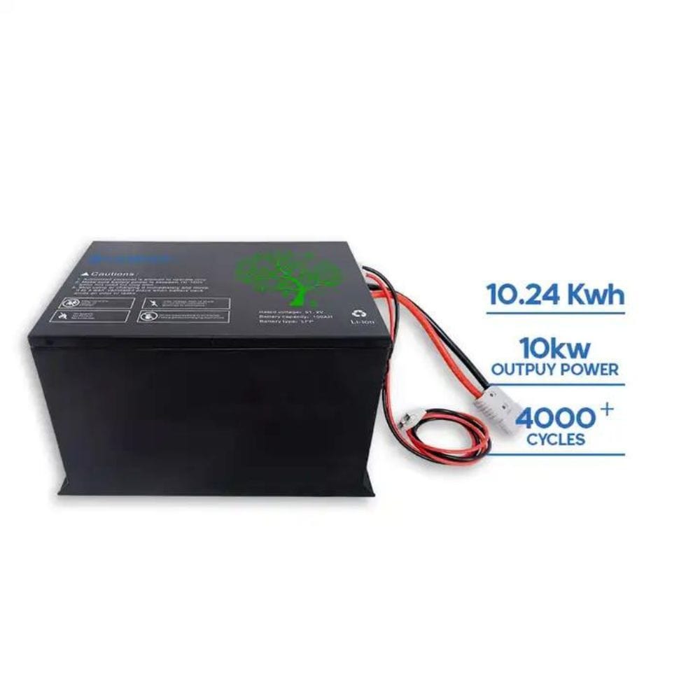 Golf Cart Lifepo4 Lithium Ion Battery